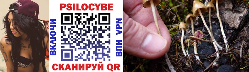 купить наркоту  Менделеевск  Псилоцибиновые грибы Psilocybe 
