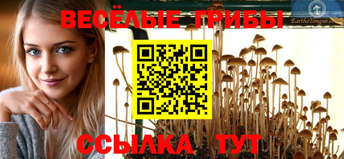 Галлюциногенные грибы ЛСД  Псилоцибиновые грибы GOLDEN TEACHER  Вход с VPN  Менделеевск 