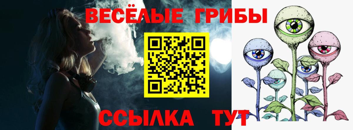 Псилоцибиновые грибы мухоморы Менделеевск