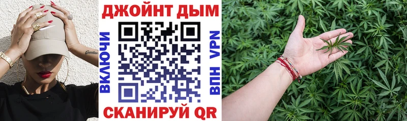 Конопля сатива Менделеевск